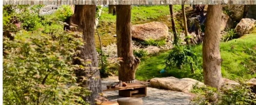 Trees and stone paths in the courtyard